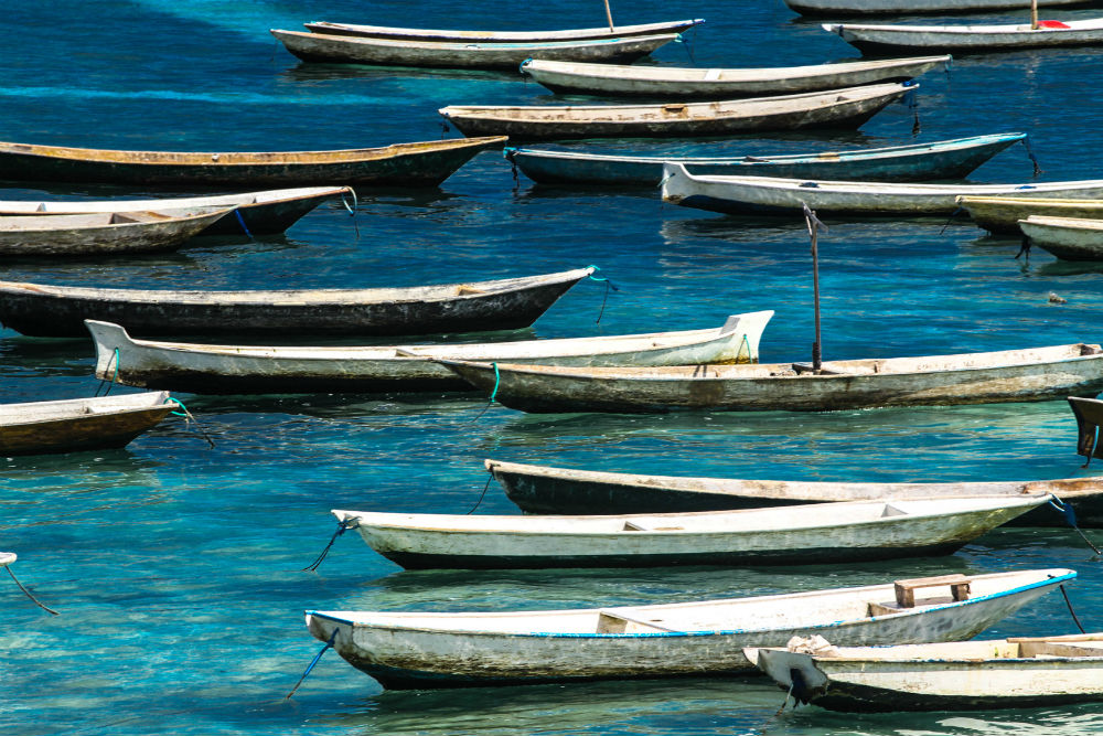 Farmers' boats.