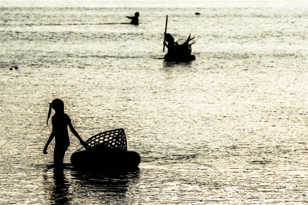 Children also work collecting seaweed. The work schedule is dictated by the ebb and flow of the tide, often the seaweed has to be harvested at night.