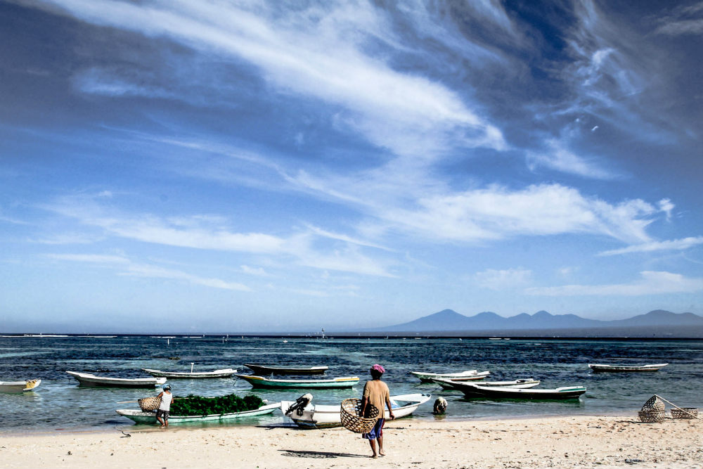 Indonesia with over 17 thousand islands is one of the largest seaweed producers in the world. On a small Indonesian island of Nusa Lembongan the majority of inhabitants are involved in the cultivation of seaweed. A key ingredient in medicines, cosmetics a
