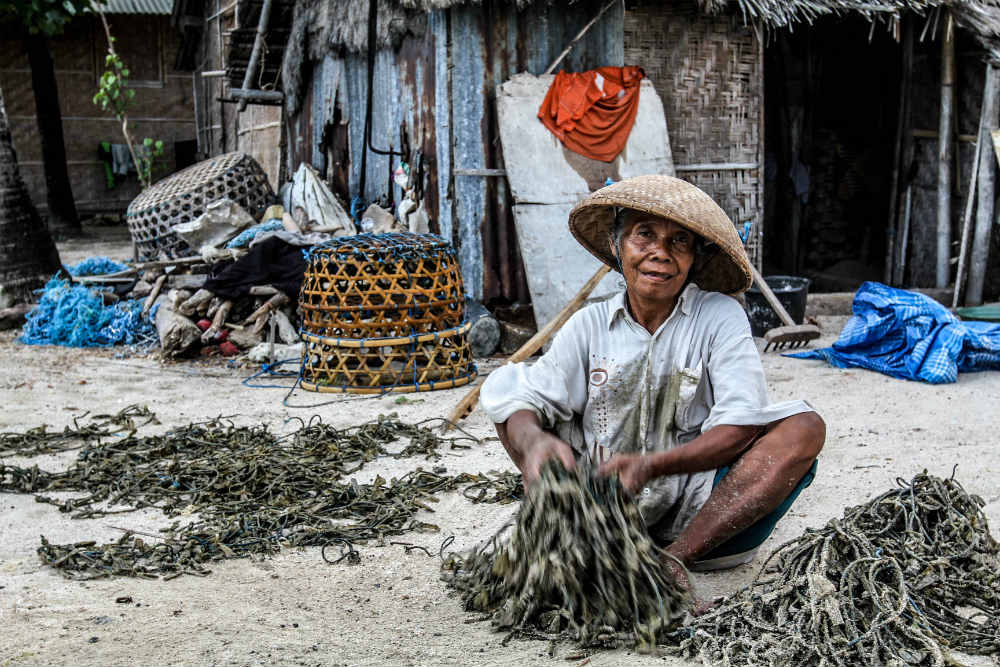 Regardless the age, the inhabitants of the island seem to be all working in seaweed production.
